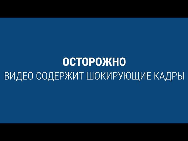 80 лет назад в Бабьем Яре начались массовые расстрелы евреев