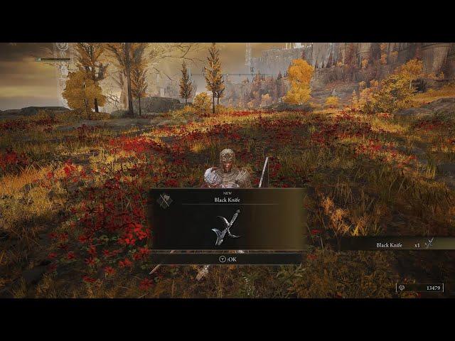 Elden Ring - Back Knight Assassin Boss Fight ,Black Knife And Leyndell Soldier Ashes Location