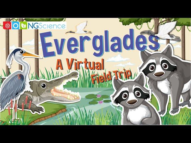 Everglades – A Virtual Field Trip