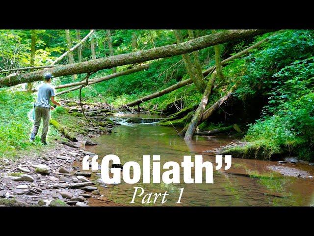 I Found a Creek FULL of BIG Brook Trout! (GOLIATH pt. 1)