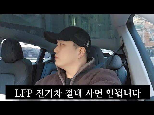 LFP 전기차 사면 정말 큰일납니다 (feat. 테슬라 모델Y RWD)