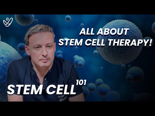 All About Stem Cell Hair Therapy: Everything You Need to Know About Stem Cells