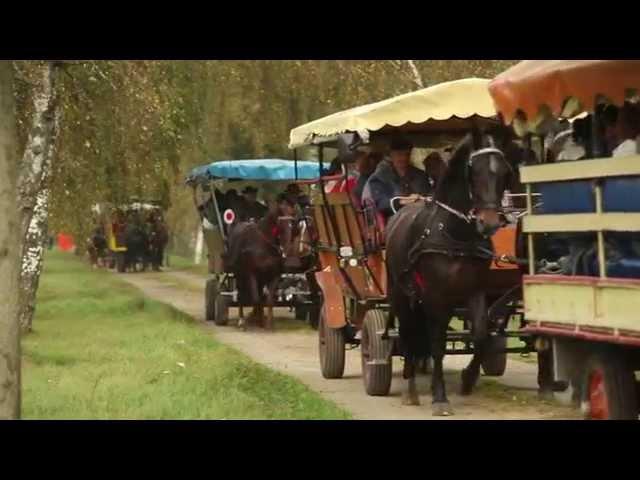 Hubertusjagd im Haupt  und Landgestüt Neustadt Dosse 2014