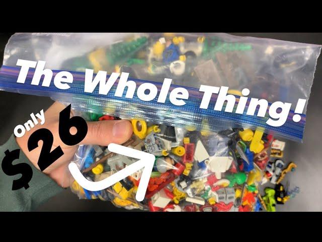 This WHOLE Bag Of LEGO Was $26