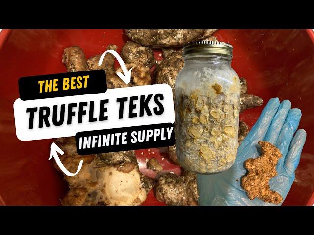  How To Make Infinite Truffles: The Best Truffle TEKs (Edible Mycology with Sage!) 