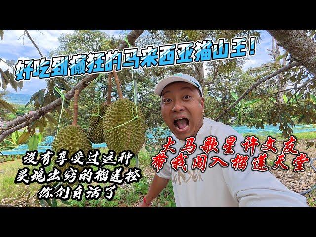 好吃到癫狂的马来西亚猫山王！大马歌星许文友带我闯入榴莲天堂，没有享受过这种灵魂出窍的榴莲控你们白活了！｜早餐文化差很大？马来西亚咖啡“暗语”太难懂，我终于点对了！