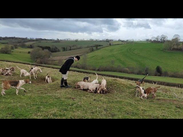 The Ledbury Hunt 4 Feb 2022