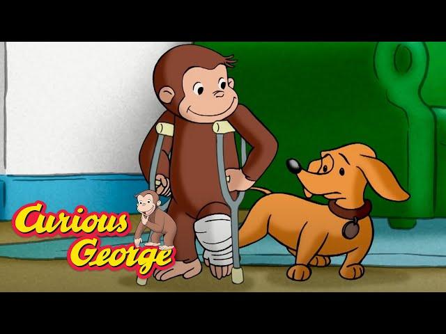 George Breaks His Leg! __ Curious George __ Kids Cartoon __ Kids Movies __Videos for Kids