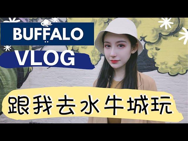 【水牛城Vlog】尼亚加拉大瀑布 | 长周末去哪玩 | Trader Joe's买什么 | 布法罗旅游 | Buffalo Wings | Niagara Falls | Travel With Me