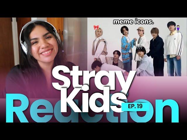 Stray Kids funniest moments of 2024 so far | REACTION