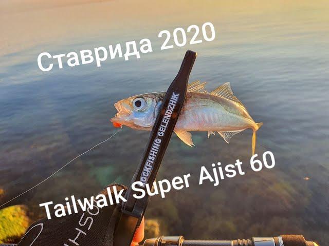 Ставрида 2020 с Tailwalk Super Ajist 60/STT Horse mackerel 2020 together Tailwalk Super Ajist 60/STT