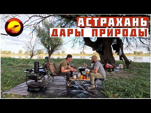 Астрахань! СТИХИЯ РЫБАКА / ДАРЫ ПРИРОДЫ, Отдых и Рыбалка