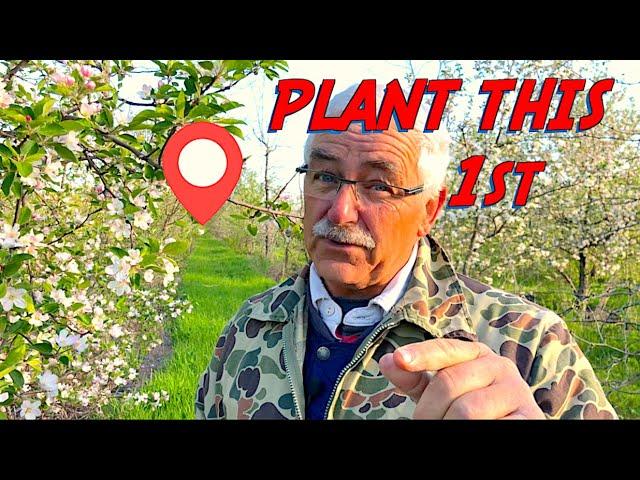 PLANT THIS Before Planting YOUR Fruit Trees