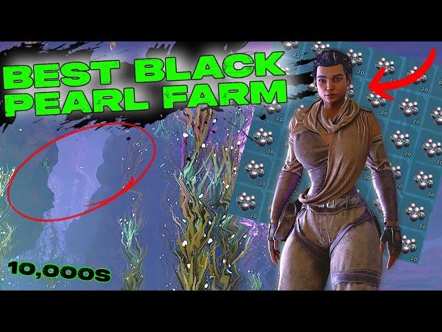 BEST Black Pearl Farm In Ark Survival Ascended!!! How to Get 1000s of Black Pearls in ASA!!!