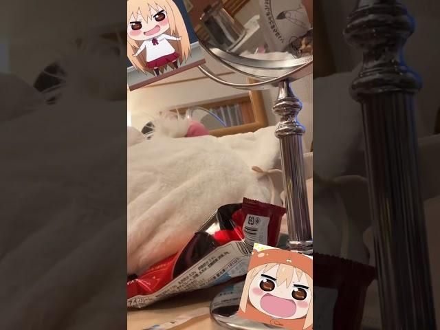 우마루 정식
