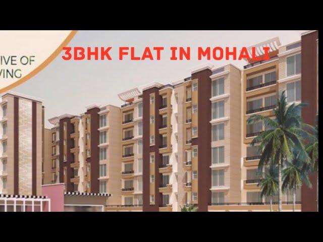 Luxury Apartments in Mohali || Best Construction || Near Airport Road #luxuryapartments #3bhk #sale