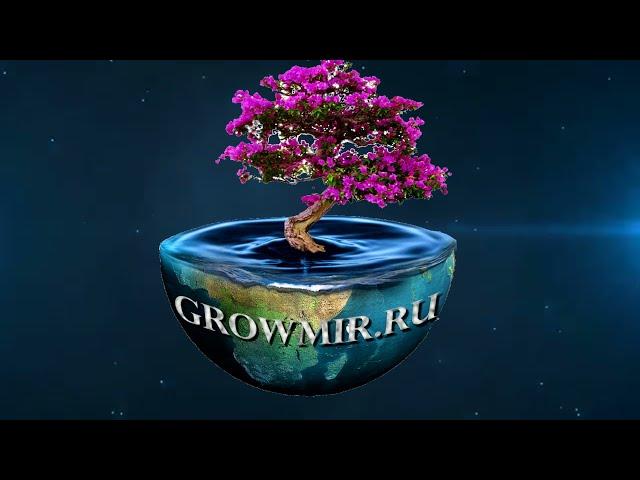 Питательное вещество обеспечивающее стремительный рост - Flora Nova Grow GHE