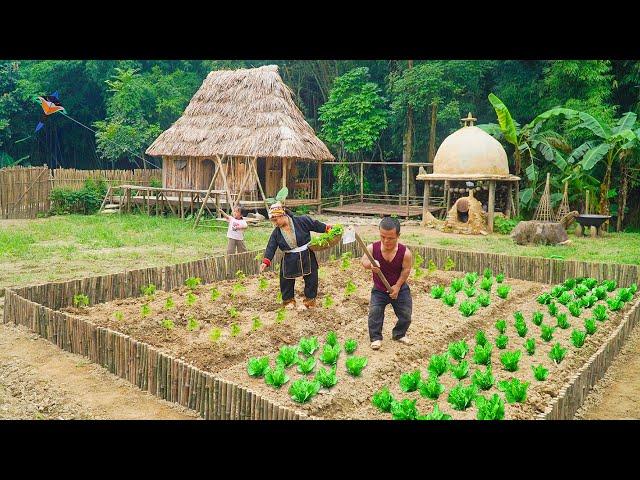 Dwarf Family | Renovating The Vegetable Garden | Make a Handmade Swing | Survive In The Wild.