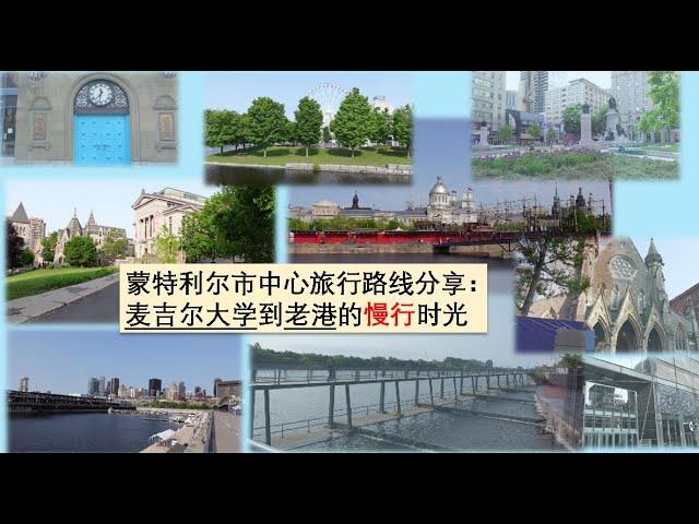 旅游攻略 | 蒙特利尔步行路线分享：麦吉尔大学至老港的慢行时光