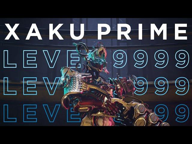 Xaku Prime vs. Level 9999 Steel Path Showcase | Warframe Level Cap Builds