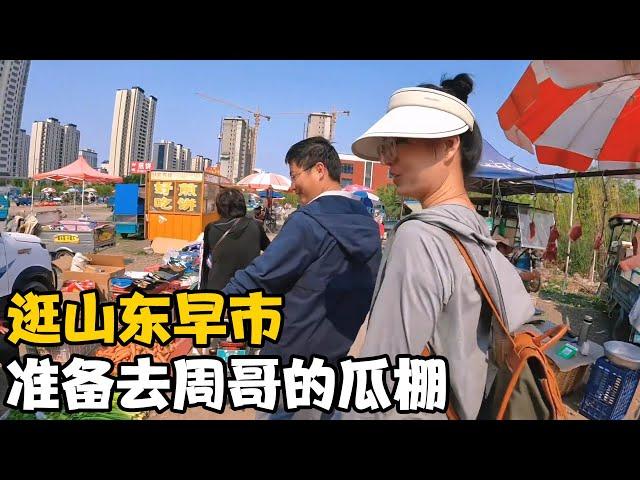 周哥带我和芯语逛山东早市，吃个特色早餐，然后准备去周哥家瓜棚【卓越穷游记】