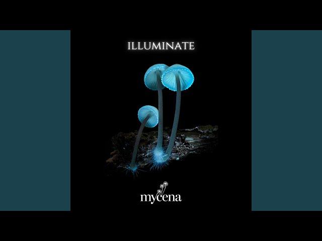 Mycena Media - Visionaries