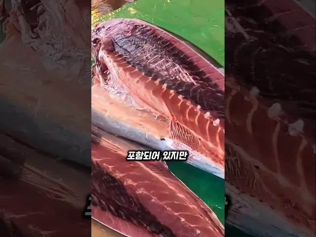 왜 참치에는 검붉은 살이 있을까?