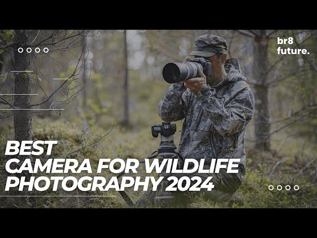 Best Camera for Wildlife Photography 2024  (Top 5 Picks For Nature & Animal Photography)