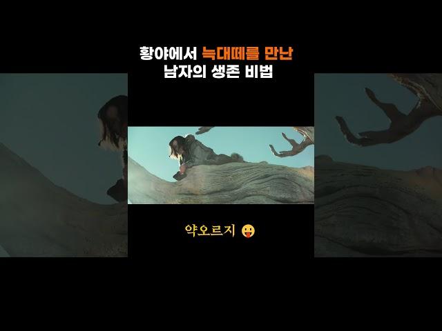 황야에서 늑대떼를 만났을 때 살아남는 방법 #알파 #영화리뷰