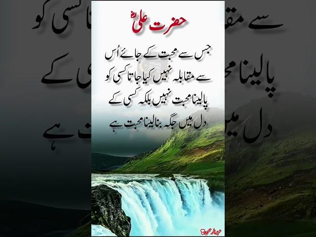 True Love by Hazrat Ali (R.A) #shorts