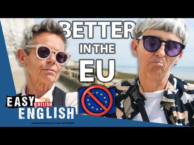 Do BRITS MISS the EUROPEAN UNION? | Easy English 177