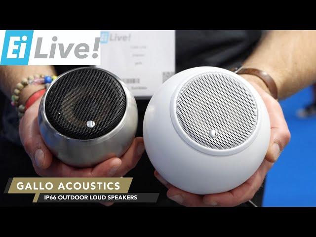 Control4, Gallo Acoustics, HDAnywhere and Rako Controls launch New Products EI LIVE 2021