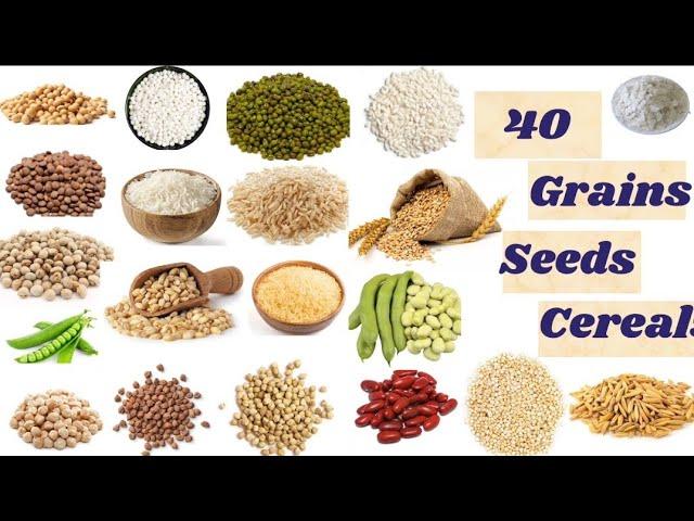 Grains vocabulary ||40 Grains, seeds and cereals name in english with pictures