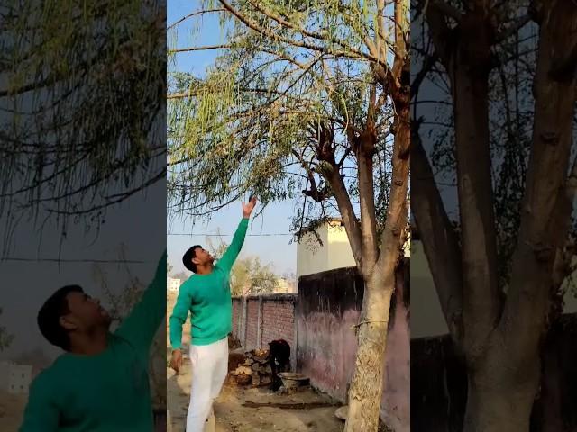 #shorts#new video # munga#nawada#desi chora#shorts#new video # munga#nawada#desi chora