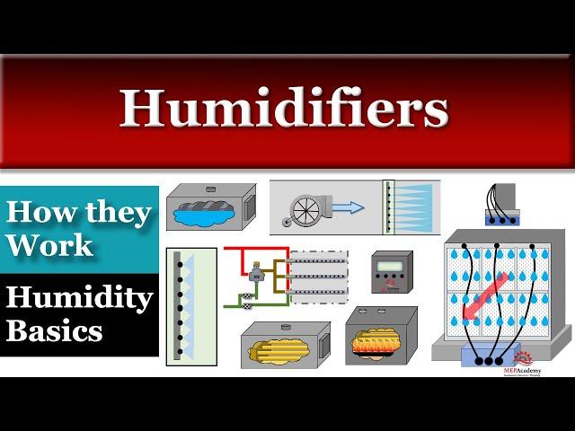 Humidifier Types and Humidity Basics