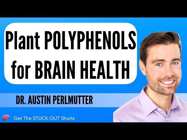 Plant Polyphenols for Brain health