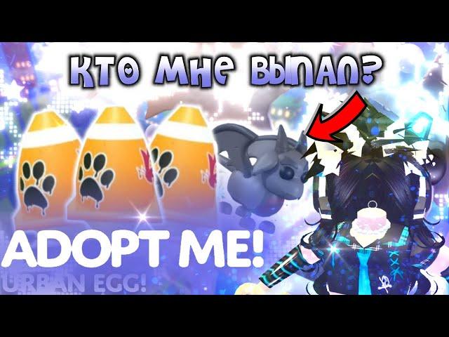 ОТКРЫЛА НОВЫЕ ЯЙЦА В АДОПТ МИ | ВЫПАЛА ЛЕГА* | ШОК ТРЕЙДЫ | ADOPT ME | ROBLOX