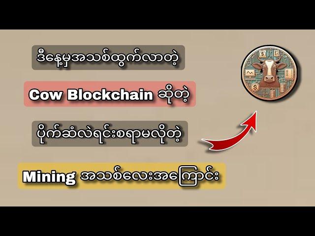 Cow Blockchain ဆိုတဲ့ Mining အသစ်ကနေ ပိုက်ဆံရင်းစရာမလိုပဲ ဘယ်လိုတေပိုက်ဆံရှာကြမလဲ ️