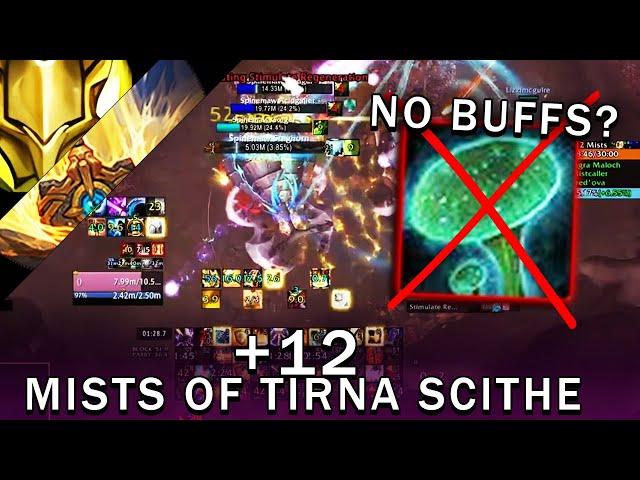 Mists of Tirna Scithe +12 no shrooms | Templar Prot Pally | TWW SEASON 1 M+