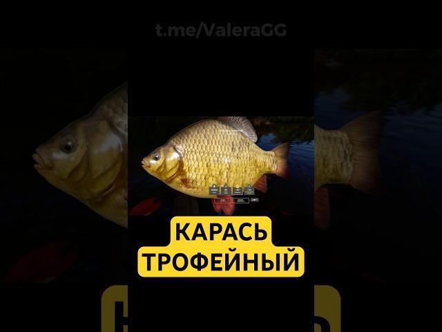 РР4 Комариное Трофейный Карась - Русская Рыбалка 4