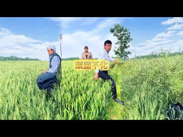 粮食农民的希望#农民种地不容易 #原创视频