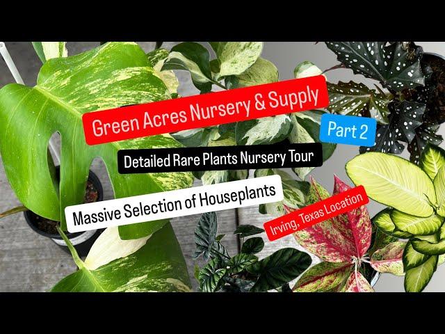 Big Box Store Plant Shopping Alternative Shop Local Nursery Green Acres Nursery & Supply Rare Plant