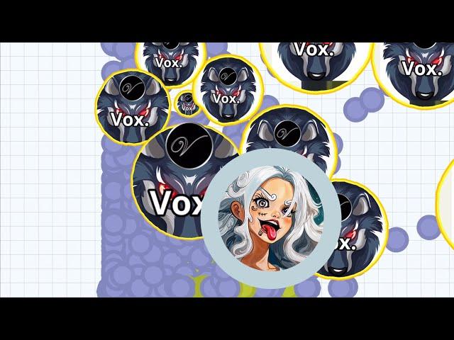 THE BEST REVENGE  (AGARIO MOBILE)