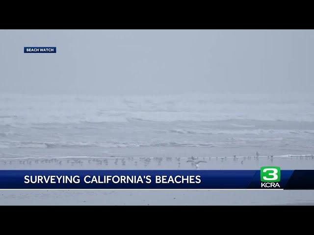 Why this group of volunteers has been studying the CA shoreline for the last 30 years