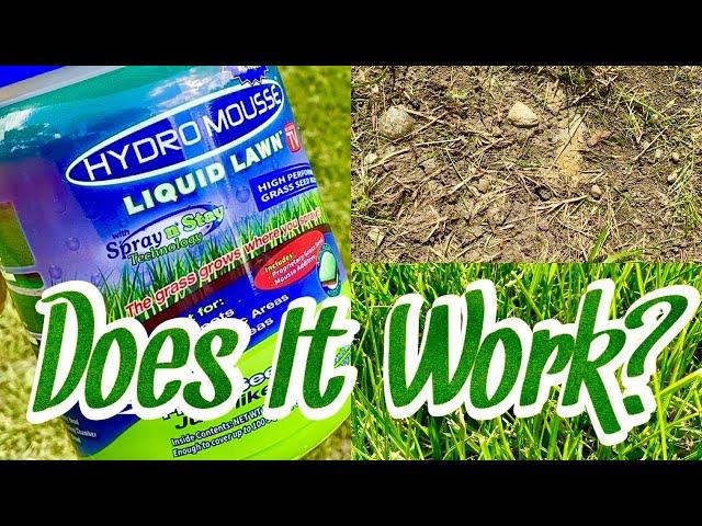 Does Hydro Mousse Liquid Lawn Grass Spray Work?