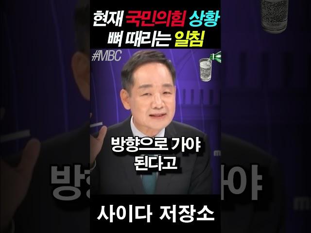 현재 국민의힘 최대 위기 상황인 이유, 팩폭 지렸다
