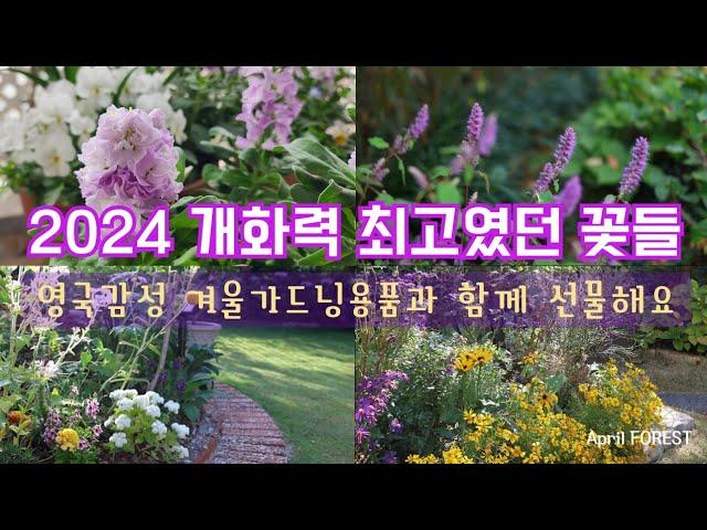 2024 개화력 최고였던 꽃은?ㅣ내년정원을 위한 씨앗나눔 ㅣ영국감성의 겨울가드닝을 위한 정원용품 ㅣ불독툴스 ㅣ구독자 이벤트 ㅣ2024 정원의 열두달