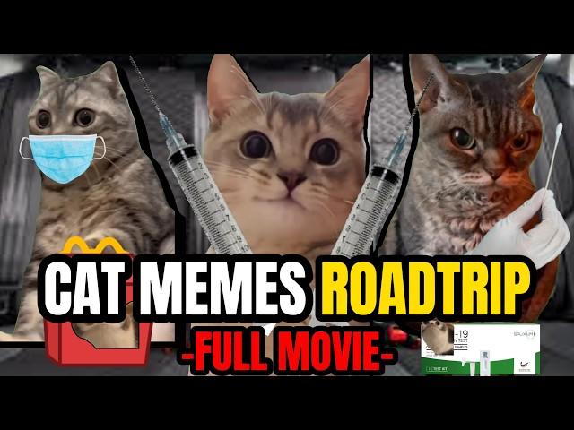 Cat Memes Roadtrip Compilation Full 1 Hour