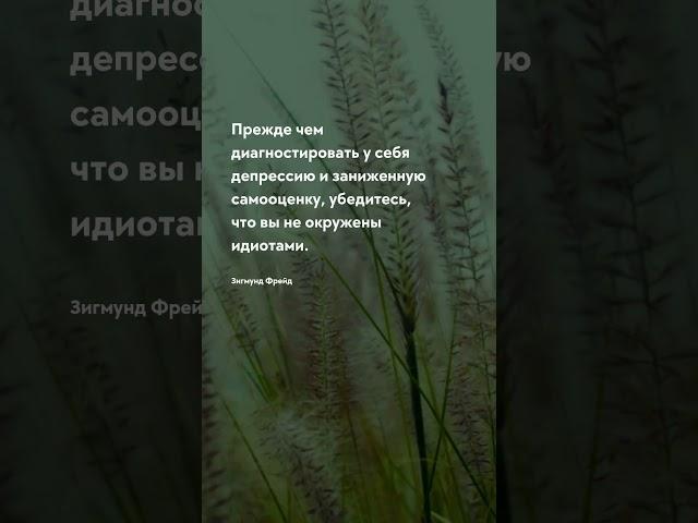 Прежде чем Жизненные цитаты #цитаты #цитата #прожизнь #мудрость #жизнь #тост #цитатадня #цитати#мозг
