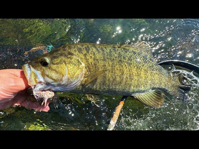 Fall Fly Fishing for BIG Smallmouth Bass